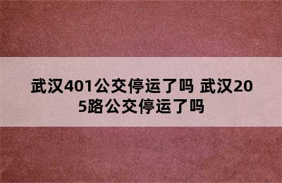 武汉401公交停运了吗 武汉205路公交停运了吗